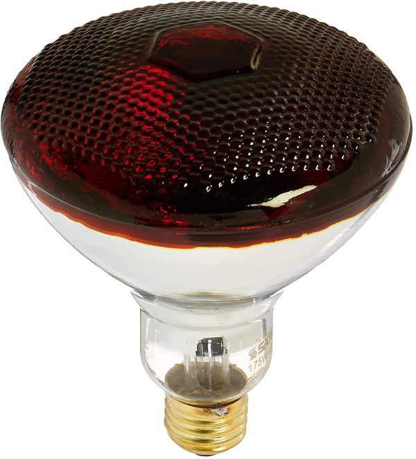 Medium Light Bulb in Bronze/Dark Finish